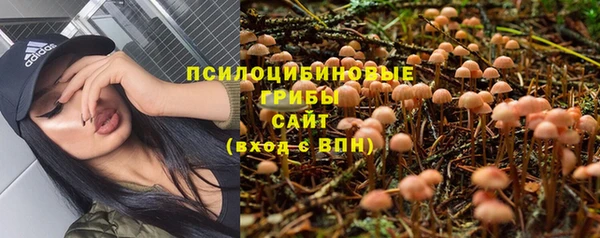 каннабис Нефтекумск