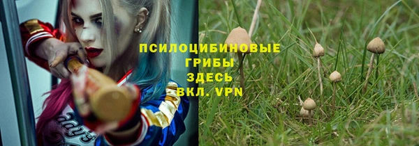Альфа ПВП Надым