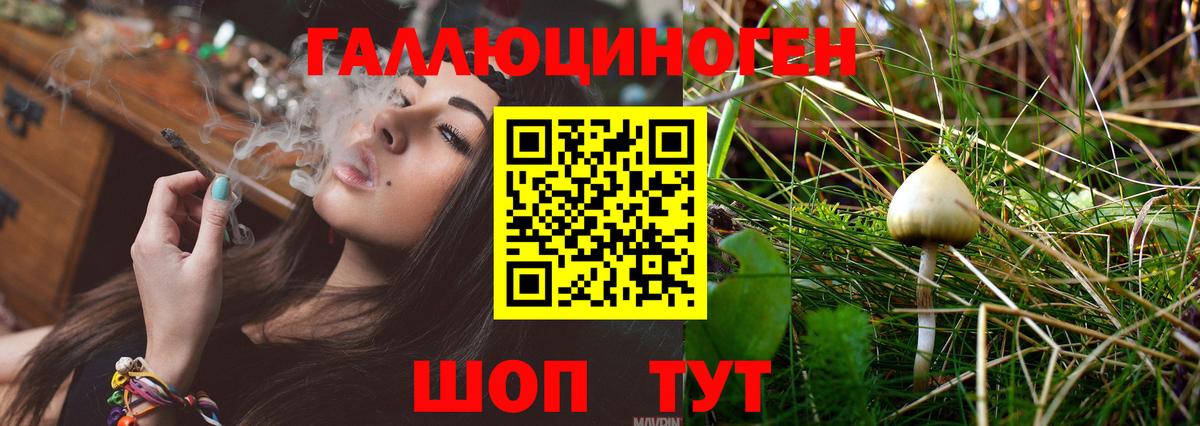 Псилоцибиновые грибы мицелий  Морозовск 