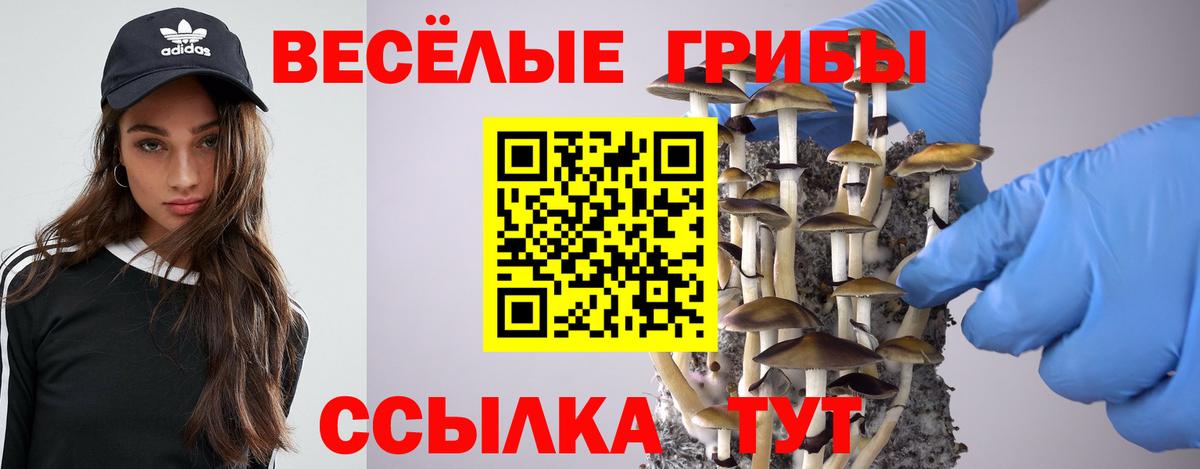 Псилоцибиновые грибы прущие грибы Морозовск