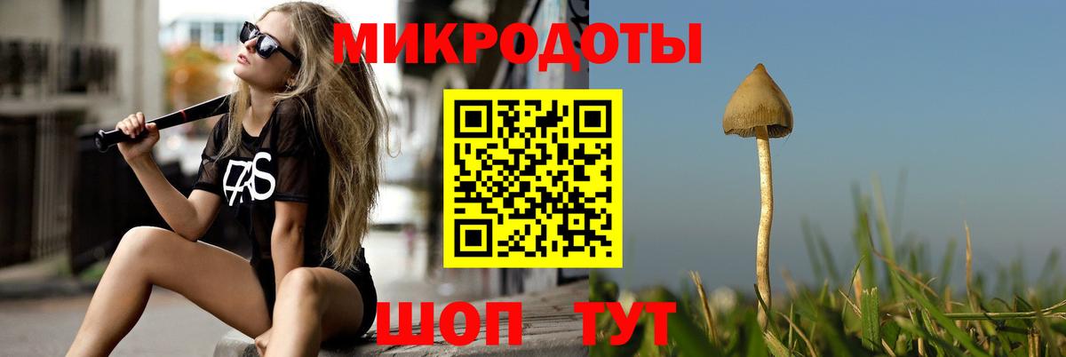 Галлюциногенные грибы мухоморы  Галлюциногенные грибы GOLDEN TEACHER  Вход с VPN  Морозовск 